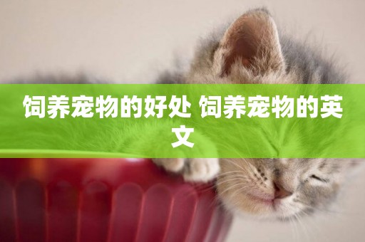 飼養寵物的好處 飼養寵物的英文