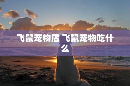 飛鼠寵物店 飛鼠寵物吃什么