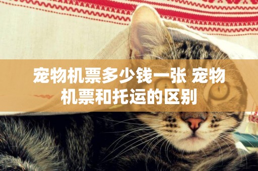 寵物機票多少錢一張 寵物機票和托運的區別