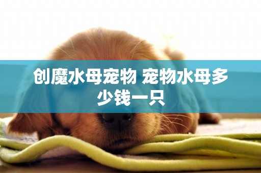 創魔水母寵物 寵物水母多少錢一只