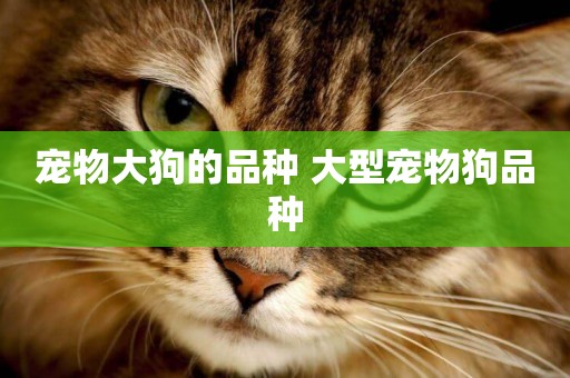 寵物大狗的品種 大型寵物狗品種