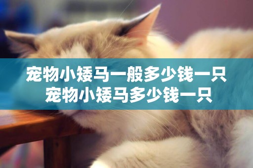 寵物小矮馬一般多少錢一只 寵物小矮馬多少錢一只