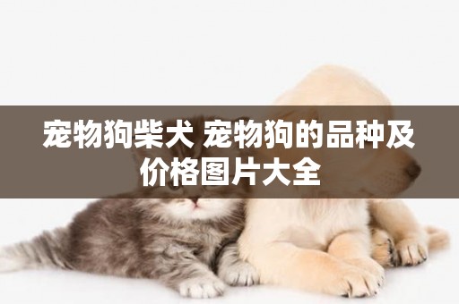 寵物狗柴犬 寵物狗的品種及價格圖片大全