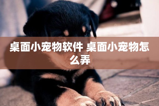 桌面小寵物軟件 桌面小寵物怎么弄