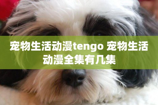 寵物生活動漫tengo 寵物生活動漫全集有幾集