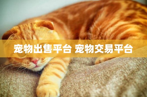 寵物出售平臺 寵物交易平臺