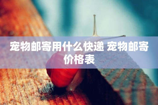 寵物郵寄用什么快遞 寵物郵寄價格表