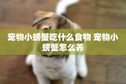 寵物小螃蟹吃什么食物 寵物小螃蟹怎么養