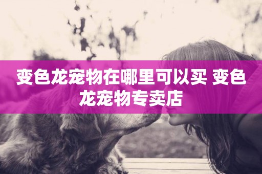 變色龍寵物在哪里可以買 變色龍寵物專賣店