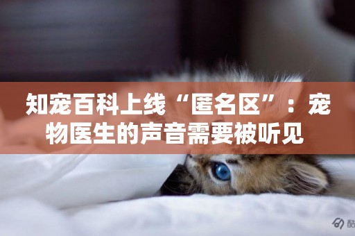 知寵百科上線“匿名區”：寵物醫生的聲音需要被聽見 