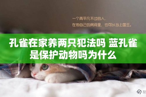 孔雀在家養兩只犯法嗎 藍孔雀是保護動物嗎為什么