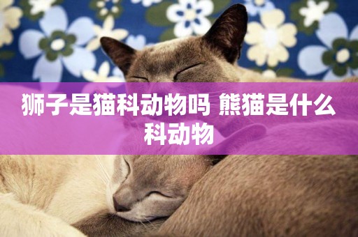 獅子是貓科動物嗎 熊貓是什么科動物