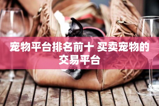 寵物平臺排名前十 買賣寵物的交易平臺