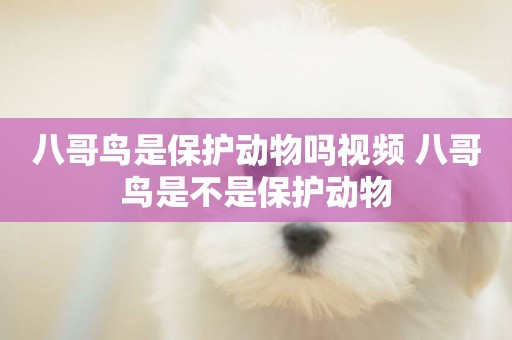八哥鳥是保護動物嗎視頻 八哥鳥是不是保護動物