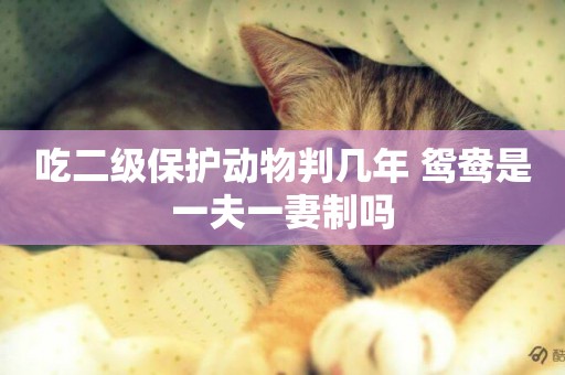 吃二級保護動物判幾年 鴛鴦是一夫一妻制嗎