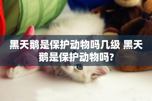 黑天鵝是保護動物嗎幾級 黑天鵝是保護動物嗎?