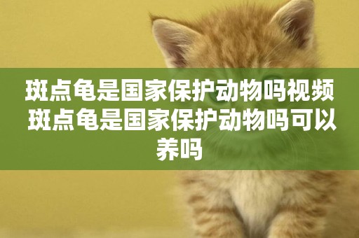 斑點龜是國家保護動物嗎視頻 斑點龜是國家保護動物嗎可以養嗎
