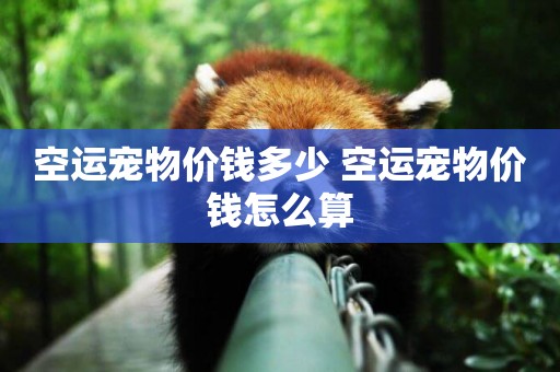 空運寵物價錢多少 空運寵物價錢怎么算