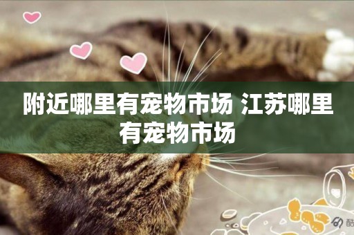 附近哪里有寵物市場 江蘇哪里有寵物市場