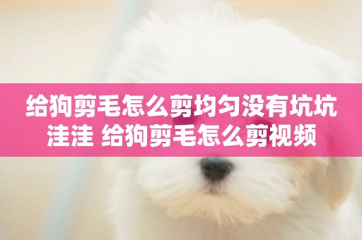 給狗剪毛怎么剪均勻沒有坑坑洼洼 給狗剪毛怎么剪視頻