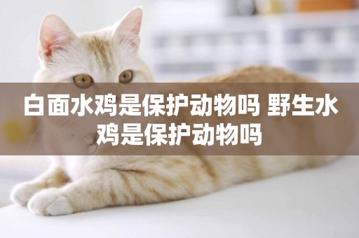 白面水雞是保護動物嗎 野生水雞是保護動物嗎