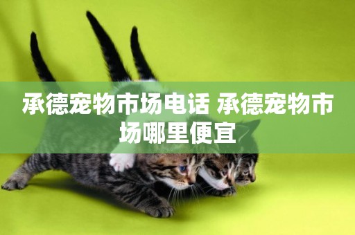 承德寵物市場電話 承德寵物市場哪里便宜