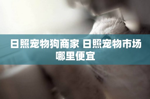 日照寵物狗商家 日照寵物市場哪里便宜