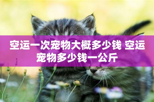 空運一次寵物大概多少錢 空運寵物多少錢一公斤