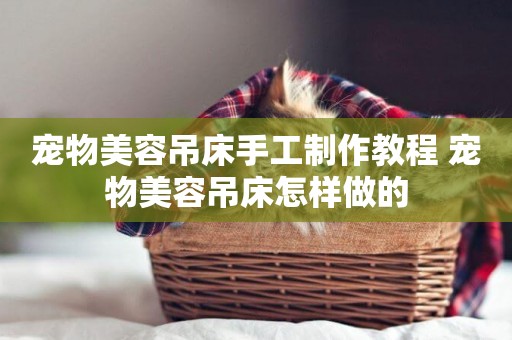 寵物美容吊床手工制作教程 寵物美容吊床怎樣做的