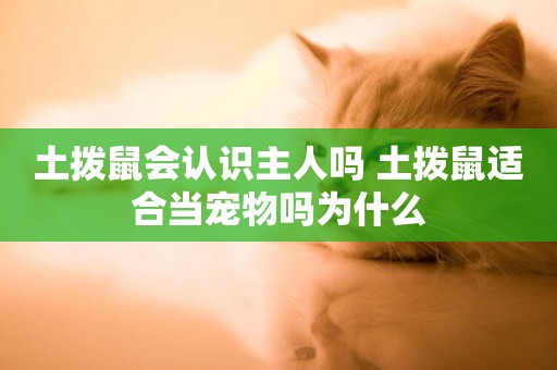 土撥鼠會認識主人嗎 土撥鼠適合當寵物嗎為什么
