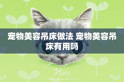 寵物美容吊床做法 寵物美容吊床有用嗎