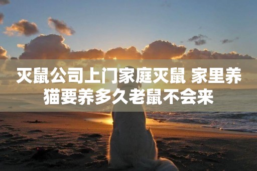 滅鼠公司上門家庭滅鼠 家里養貓要養多久老鼠不會來
