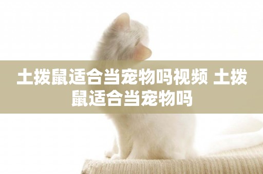 土撥鼠適合當寵物嗎視頻 土撥鼠適合當寵物嗎