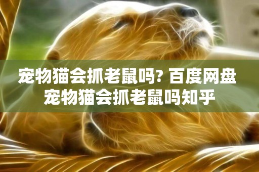 寵物貓會抓老鼠嗎? 百度網盤 寵物貓會抓老鼠嗎知乎