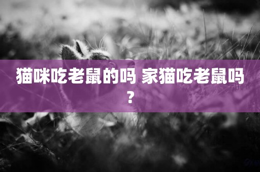 貓咪吃老鼠的嗎 家貓吃老鼠嗎?