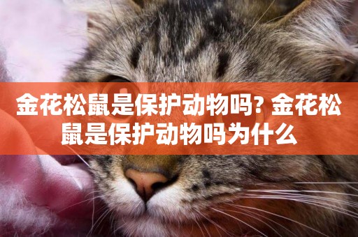 金花松鼠是保護動物嗎? 金花松鼠是保護動物嗎為什么