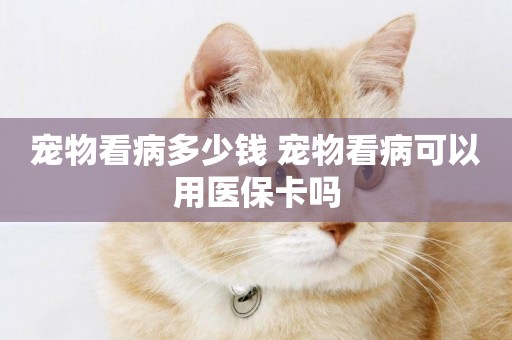 寵物看病多少錢 寵物看病可以用醫保卡嗎