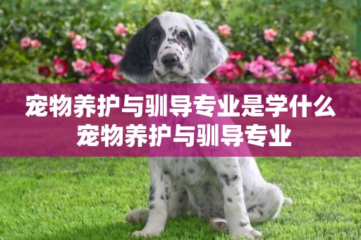 寵物養護與馴導專業是學什么 寵物養護與馴導專業
