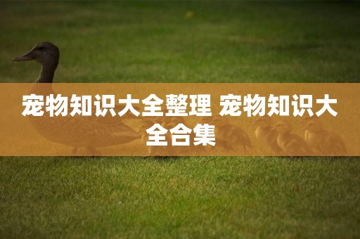 寵物知識大全整理 寵物知識大全合集