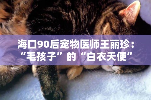 海口90后寵物醫師王麗珍：“毛孩子”的“白衣天使” 