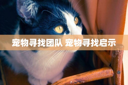 寵物尋找團隊 寵物尋找啟示