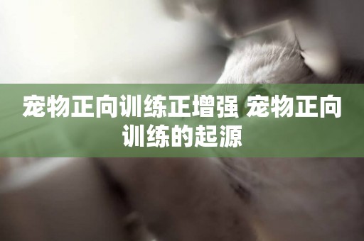 寵物正向訓練正增強 寵物正向訓練的起源