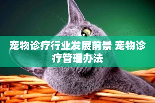 寵物診療行業發展前景 寵物診療管理辦法