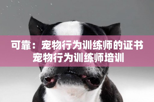 可靠：寵物行為訓練師的證書 寵物行為訓練師培訓