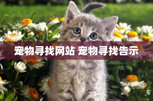 寵物尋找網站 寵物尋找告示