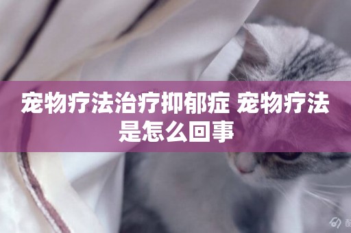 寵物療法治療抑郁癥 寵物療法是怎么回事