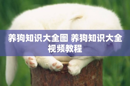 養狗知識大全圖 養狗知識大全視頻教程
