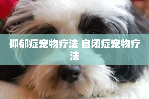 抑郁癥寵物療法 自閉癥寵物療法