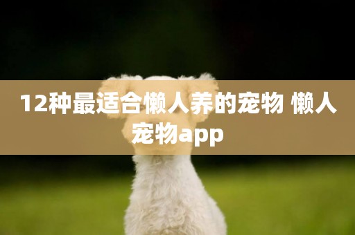12種最適合懶人養的寵物 懶人寵物app