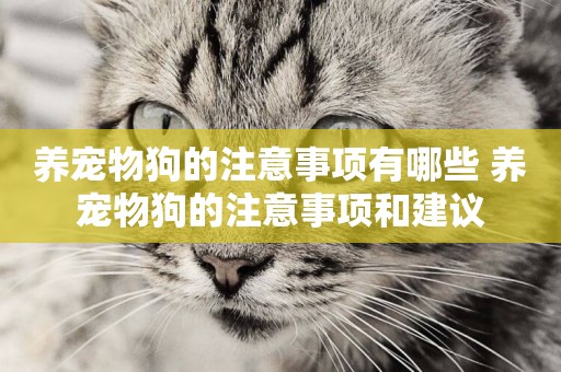 養寵物狗的注意事項有哪些 養寵物狗的注意事項和建議